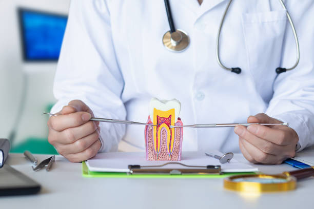 Best Emergency Gum Treatment in High Rolls, NM